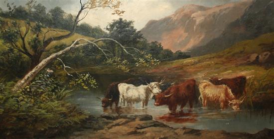 A oil painting of Highland Cattle